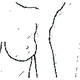 Illustration for article titled BOOB DIVERSITY